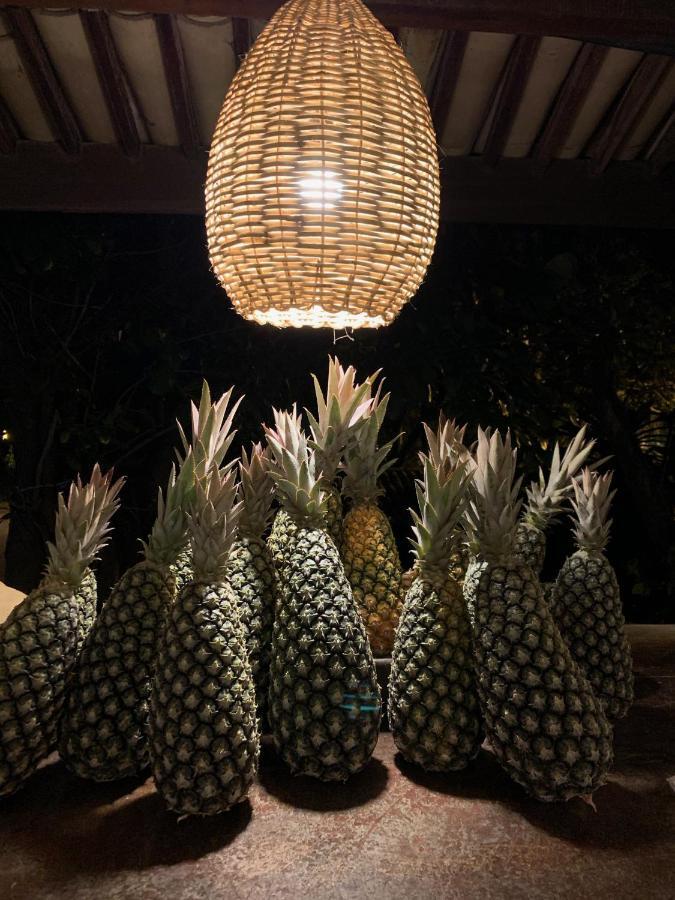 Hotel Tartaruga Boutique